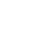 ASE Speed & Performance